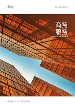 Chinese Business Services Brochure