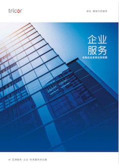 Chinese Corporate Services Guide