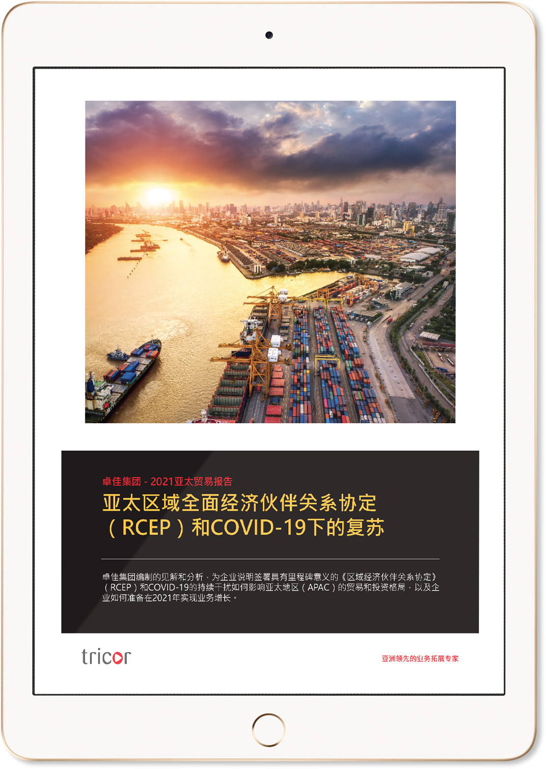 亚太区域全面经济伙伴关系协定（RCEP）和COVID-19下的复苏