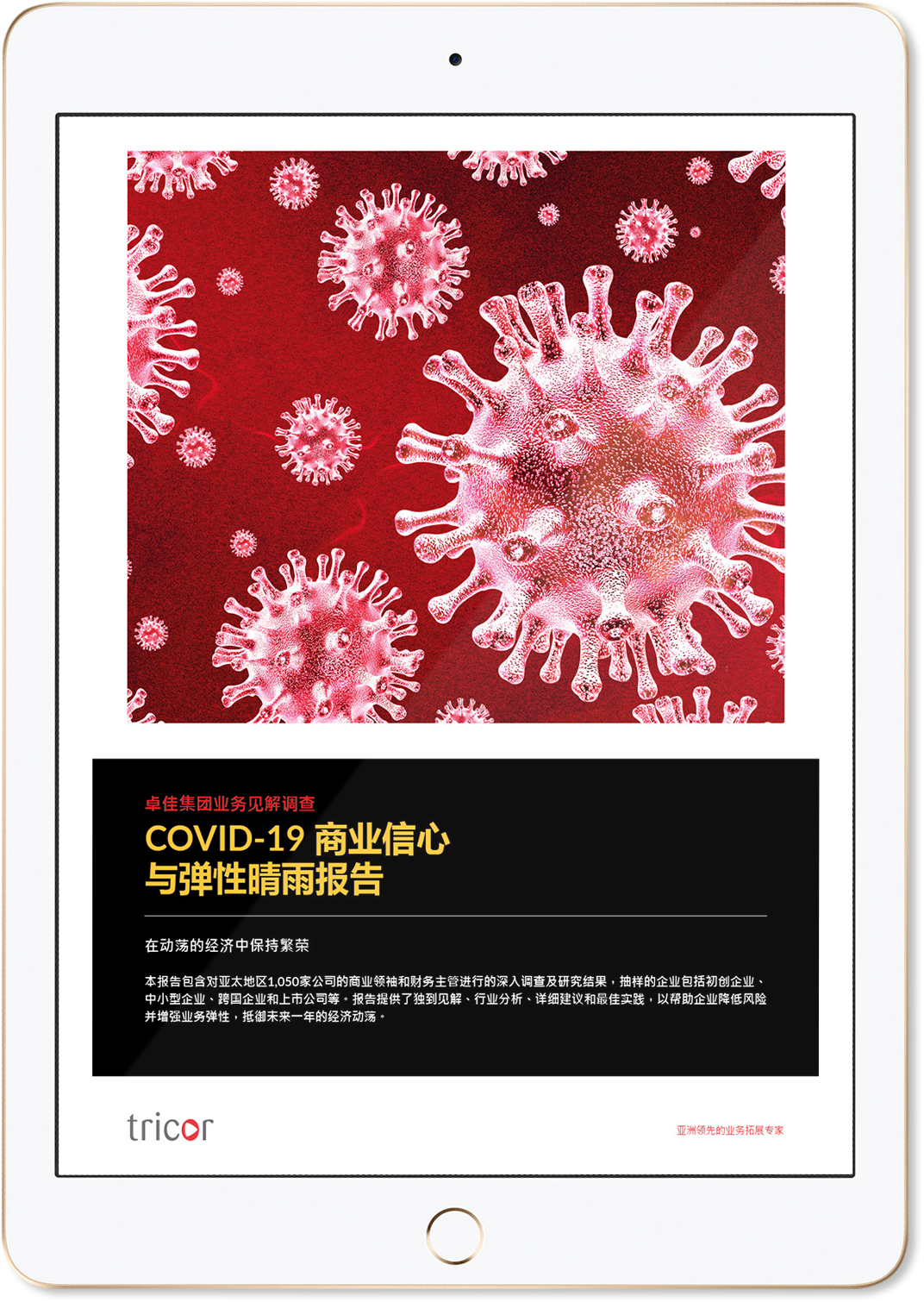 COVID-19商业信心与弹性晴雨报告