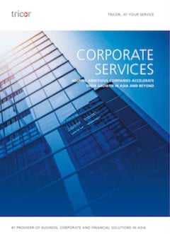 Chinese Corporate Services Guide