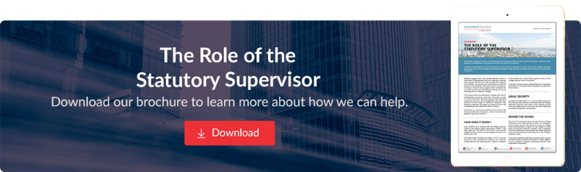Role of Statutory Supervisor
