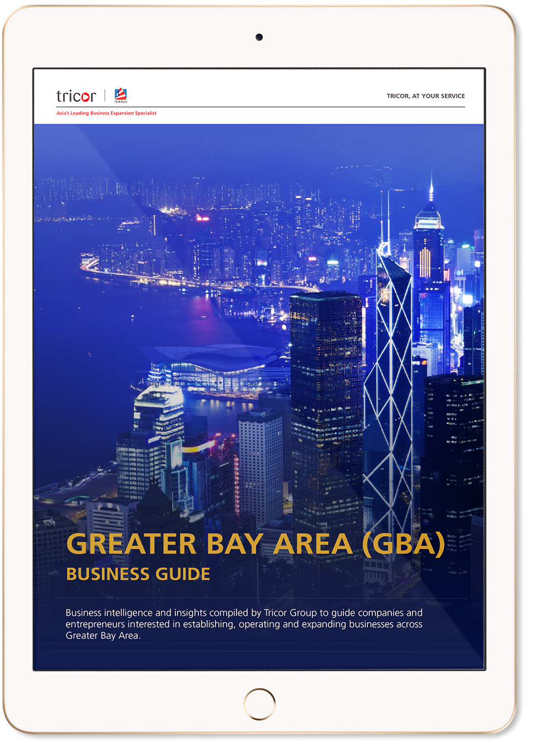 Doing business in the Greater Bay Area