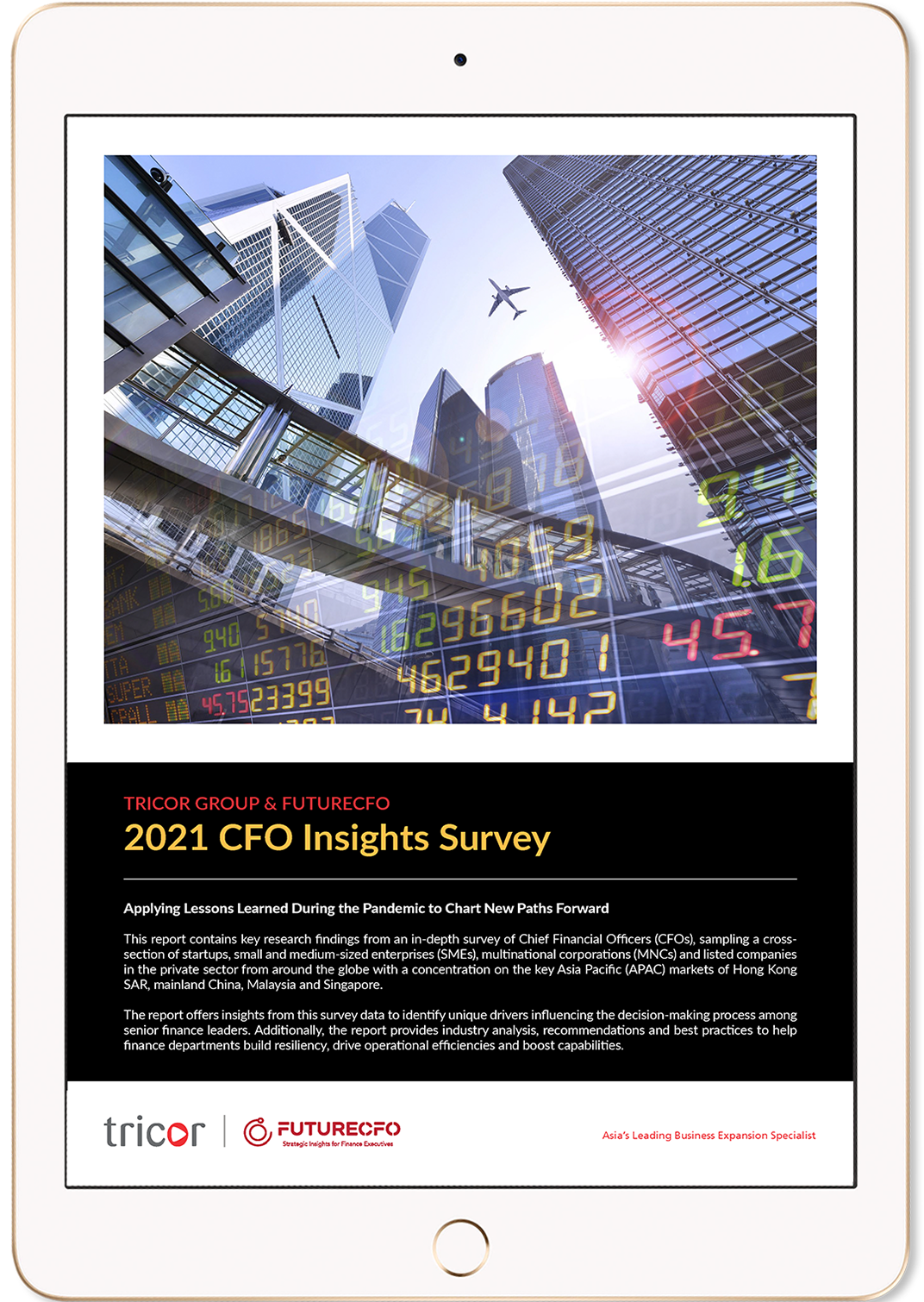 2021 CFO Insights Survey Report